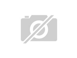 Digitalkamera PRAKTICA silber für 40 Euro